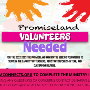 Promiseland is seeking volunteers!