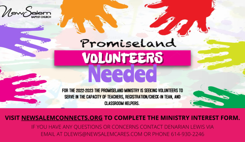 Promiseland is seeking volunteers!